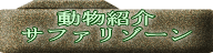 動物紹介 サファリゾーン