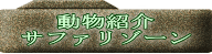 動物紹介 サファリゾーン