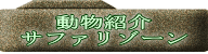 動物紹介 サファリゾーン