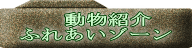 　動物紹介 ふれあいゾーン