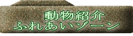 　動物紹介 ふれあいゾーン