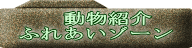 　動物紹介 ふれあいゾーン