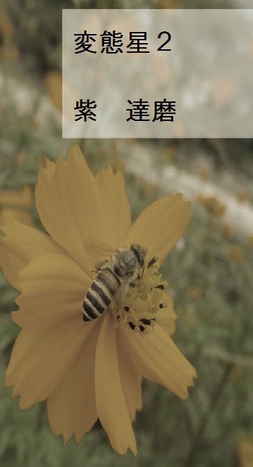 作品タイトル