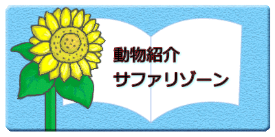 　　　　動物紹介 　　　　サファリゾーン