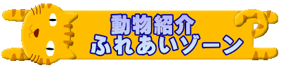       動物紹介      ふれあいゾーン