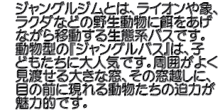 　ジャングルジムとは、ライオンや象、 　ラクダなどの野生動物に餌をあげ 　ながら移動する生態系バスです。 　動物型の『ジャングルバス』は、子 　どもたちに大人気です。周囲がよく 　見渡せる大きな窓、その窓越しに、 　目の前に現れる動物たちの迫力が 　魅力的です。